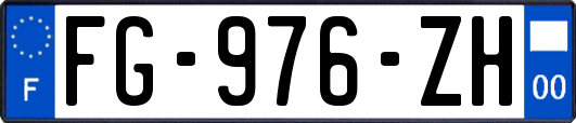 FG-976-ZH