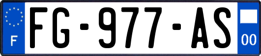 FG-977-AS
