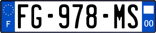 FG-978-MS