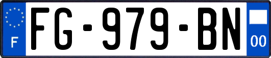 FG-979-BN