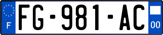 FG-981-AC