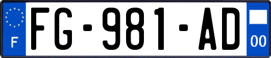 FG-981-AD