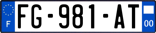 FG-981-AT