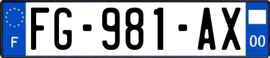 FG-981-AX