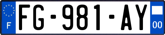 FG-981-AY