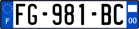 FG-981-BC