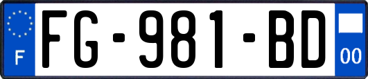 FG-981-BD