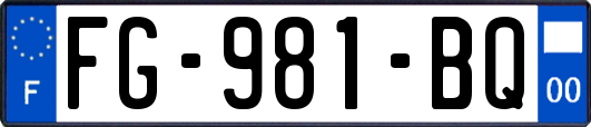 FG-981-BQ