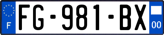 FG-981-BX