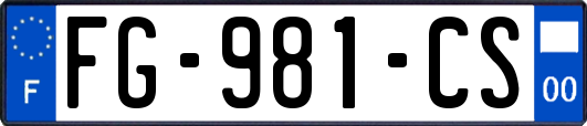 FG-981-CS