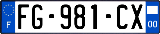 FG-981-CX