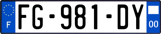 FG-981-DY