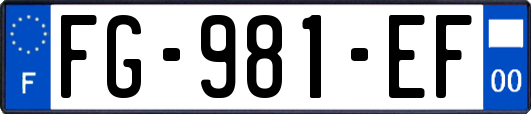 FG-981-EF