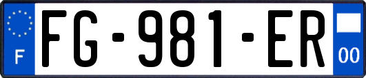 FG-981-ER