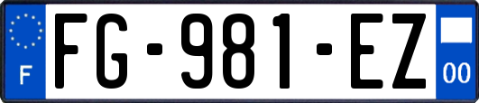 FG-981-EZ