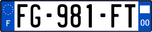 FG-981-FT