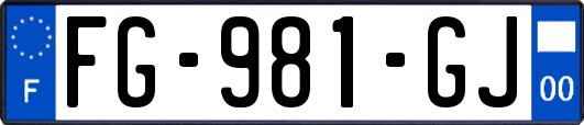 FG-981-GJ