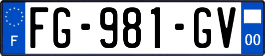 FG-981-GV