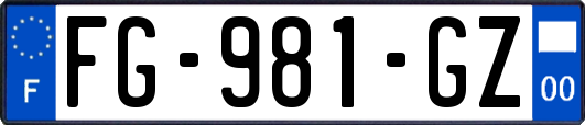 FG-981-GZ