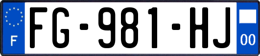 FG-981-HJ