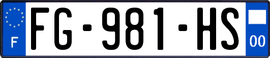 FG-981-HS