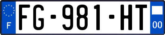 FG-981-HT