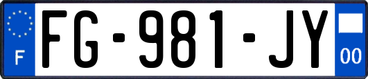 FG-981-JY