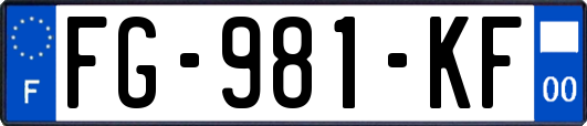 FG-981-KF