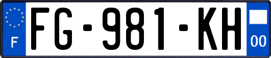 FG-981-KH