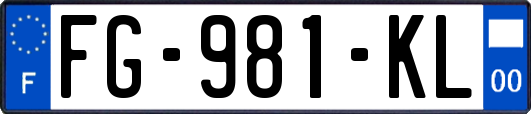 FG-981-KL