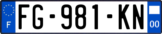 FG-981-KN
