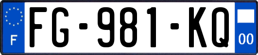 FG-981-KQ