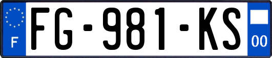 FG-981-KS