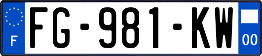 FG-981-KW