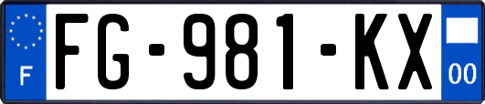 FG-981-KX