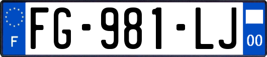 FG-981-LJ