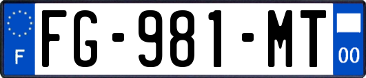 FG-981-MT