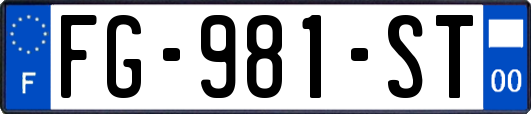 FG-981-ST