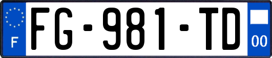 FG-981-TD
