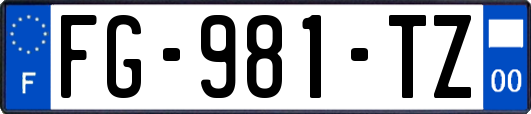 FG-981-TZ