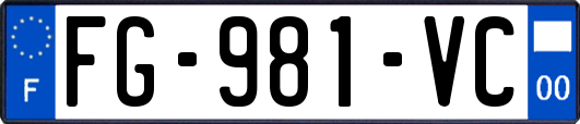 FG-981-VC