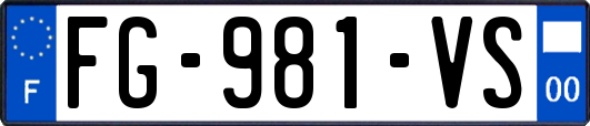FG-981-VS