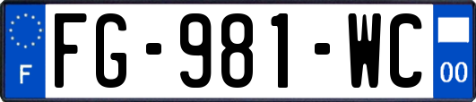FG-981-WC