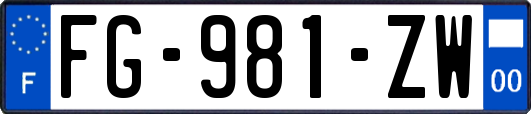 FG-981-ZW
