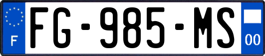 FG-985-MS