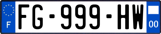 FG-999-HW