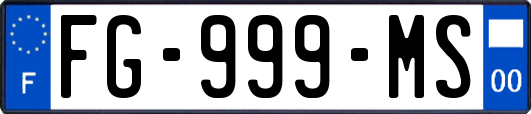 FG-999-MS