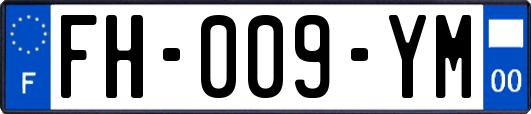 FH-009-YM