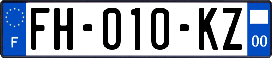 FH-010-KZ