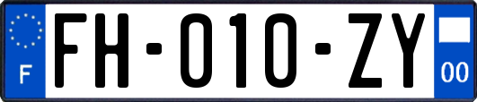 FH-010-ZY